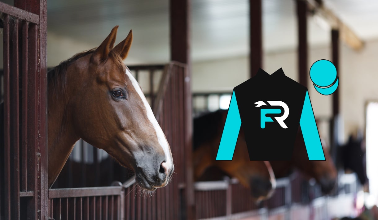 Racing Factors Racehorse Ownership